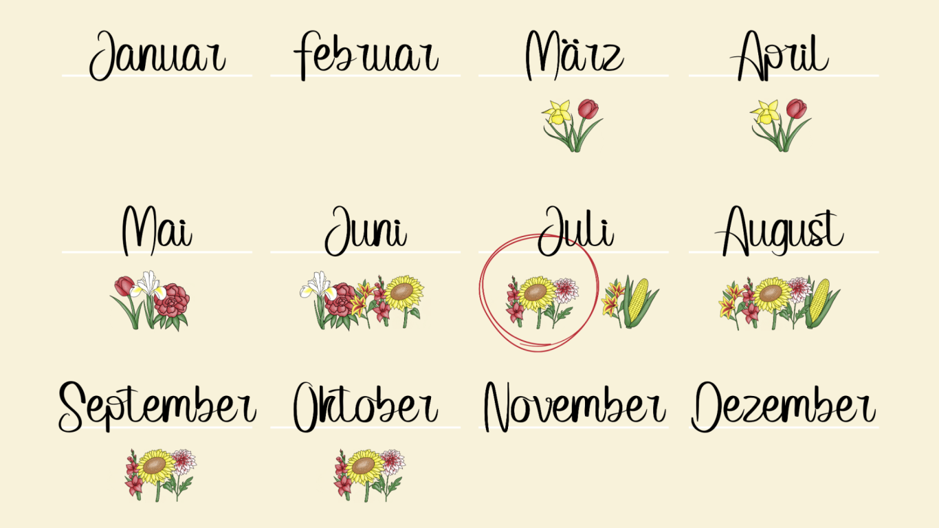 Eine Jahreskalender-Übersicht über die Blumen, die auf den Feldern von Beckmanns Blumen blühen. Eine Jahreskalender-Übersicht über die Blumen, die auf den Feldern von Beckmanns Blumen blühen.
